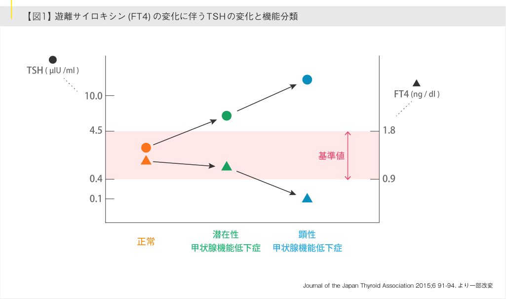 遊離サイロキシン（FT4）の変化に伴うTSHの変化と機能分類