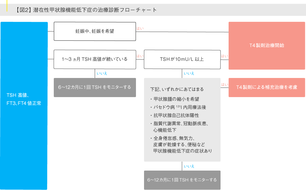 潜在性甲状腺機能低下症の治療診断フローチャート